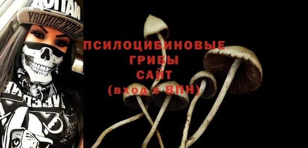трава Аркадак