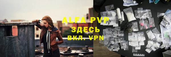 трава Аркадак