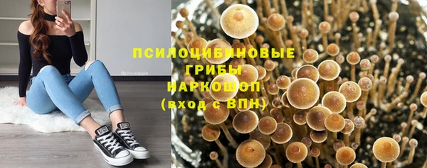 дурь Богородицк