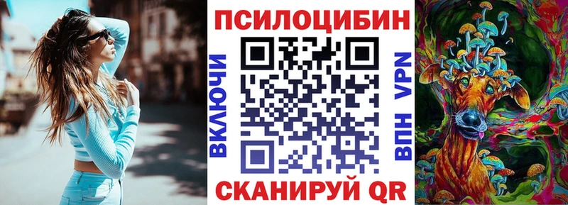 где можно купить наркотик Константиновск Псилоцибиновые грибы мицелий